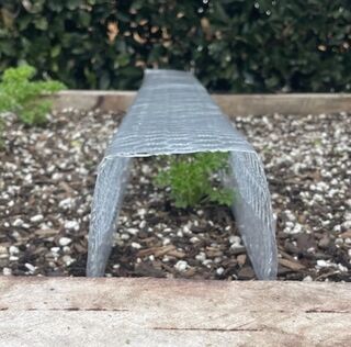 Small Covered Cloche